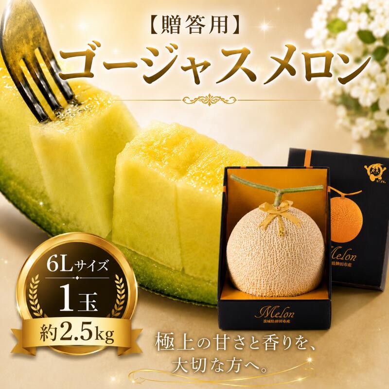 【ふるさと納税】【贈答用】ゴージャスメロン（アールスメロン）6Lサイズ／1玉　約2.5kg