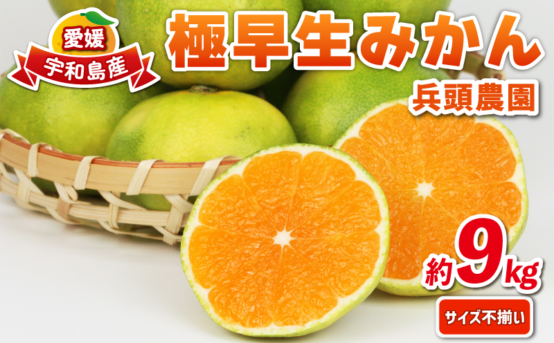 極早生みかん 家庭用 9kg サイズ不揃い 兵頭農園 先行予約 みかん mikan 愛媛ミカン 愛媛みかん 愛媛蜜柑 極早生 温州みかん 温州 精品 規格外混合 不揃い 果物 くだもの フルーツ 柑橘 蜜柑 産地直送 農家直送 数量限定 国産 愛媛 宇和島 B010-055007