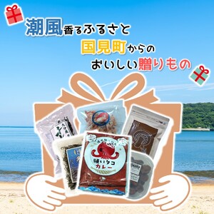 潮風香るふるさと 国見町からのおいしい贈りもの 大分県 セット 詰合せ カレー わかめ ひじき 梅干し えびせん 椎茸_2631R