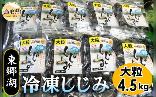 D24-008 東郷湖冷凍しじみ（大粒） 4.5kg