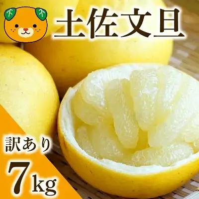【先行予約：2027年度2月上旬～ 】青果市場 土佐文旦 7kg 訳あり 文旦 愛媛県 愛南町