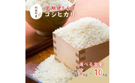
                  利根町産コシヒカリ　精米5~10kg ／ 米 こめ コメ お米 おこめ コシヒカリ こしひかり 令和7年産 新米 白米 精米 ご飯 ごはん 10kg 送料無料
                