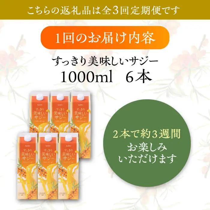 【全3回定期便】すっきり美味しい サジー 1000ml×6本 VAX048 サジージュース