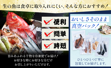 天草の塩と太陽と風が仕上げた魚の干し物 高橋商店《30日以内に出荷予定(土日祝除く)》干物 天然塩 天草近海 5～6尾 魚屋 手作り 天草 苓北 熊本 送料無料【配送不可地域あり】