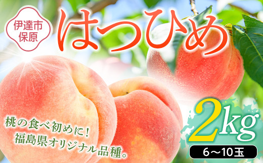 
            福島県産 はつひめ 2kg 2025年7月上旬～2025年7月中旬発送 2025年出荷分 先行予約 予約 伊達の桃 桃 もも モモ 果物 くだもの フルーツ 国産 食品 F20C-506
          