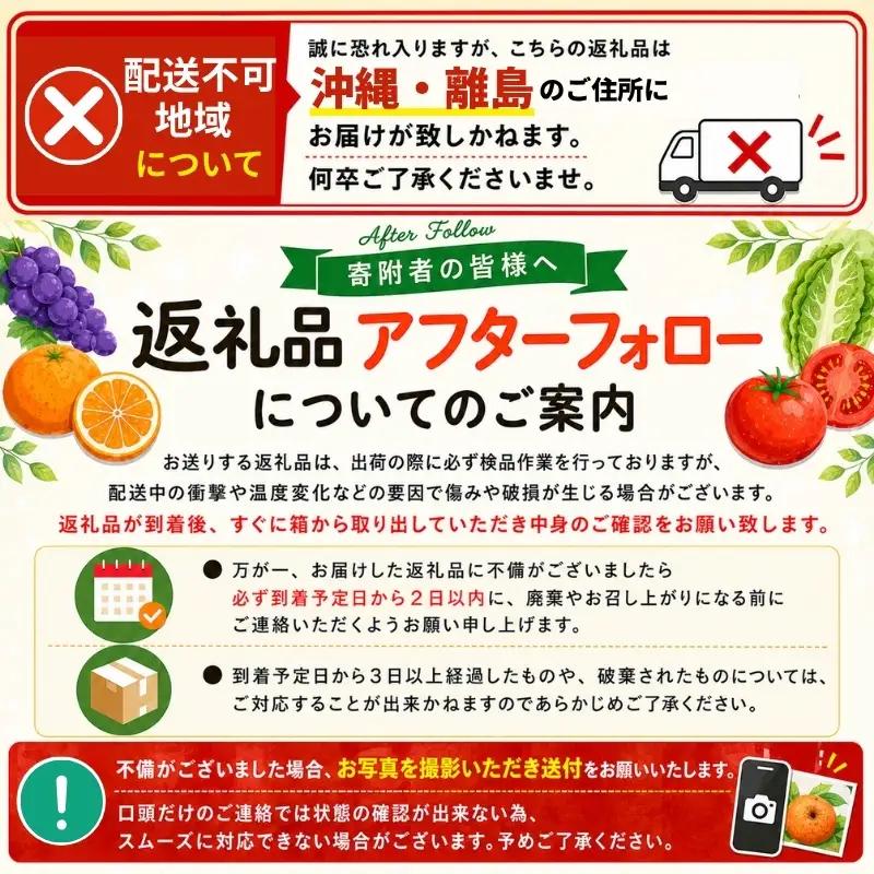 紀州南高梅使用　しそ仕込み完熟梅干し 無選別1kg / 和歌山 梅干し 紀州南高梅 南高梅 梅干 梅 うめ 肉厚【tec973A】