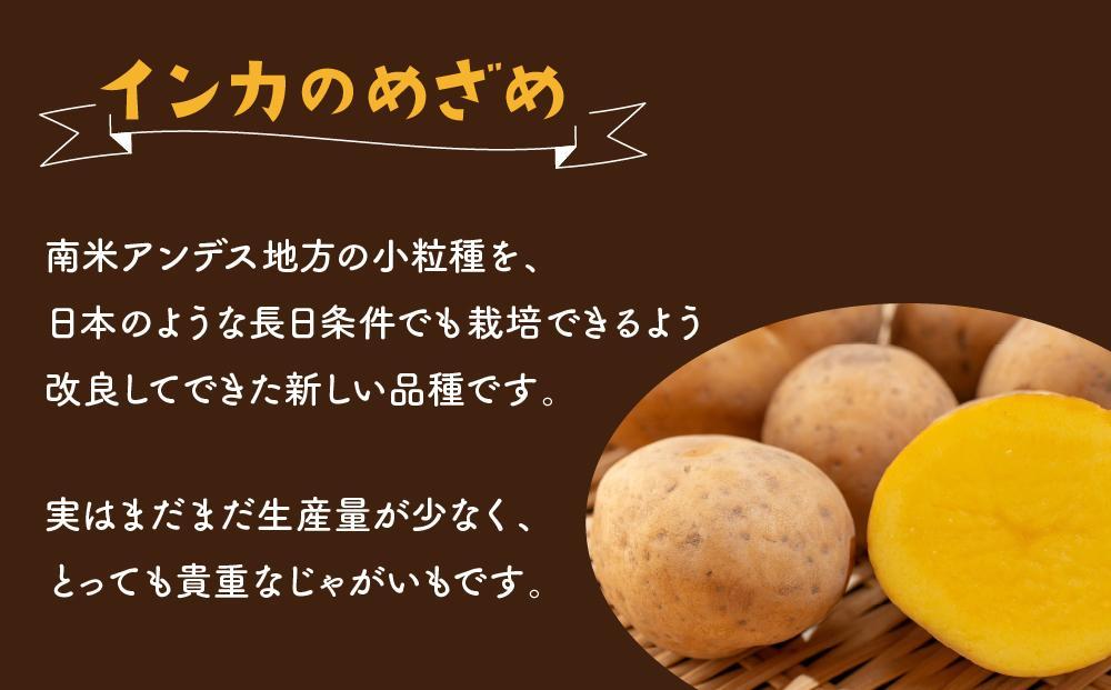 【2026年先行予約】北海道産じゃがいも（インカのめざめ）3kg（10月下旬発送開始）【 インカの目覚め じゃがいも ジャガイモ いも 芋 ポテト 旭川 北海道 野菜 】_04562