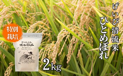 ＜新米先行予約＞令和7年産 特別栽培 ひとめぼれ 2kg 清流が育んだお米 げいび清流米