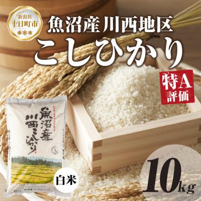 ふるさと納税 十日町市 【令和7年産 新米予約】魚沼産 川西 こしひかり 精米 5kg×2 新潟県産 お米 産地直送 十日町