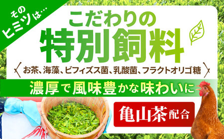 【全12回定期便】お茶と海藻で健康育ち 元気卵 720個（60個×12回） / たまご タマゴ 玉子 鶏卵 / 亀山市 / 藪本養鶏園[AMBH011]