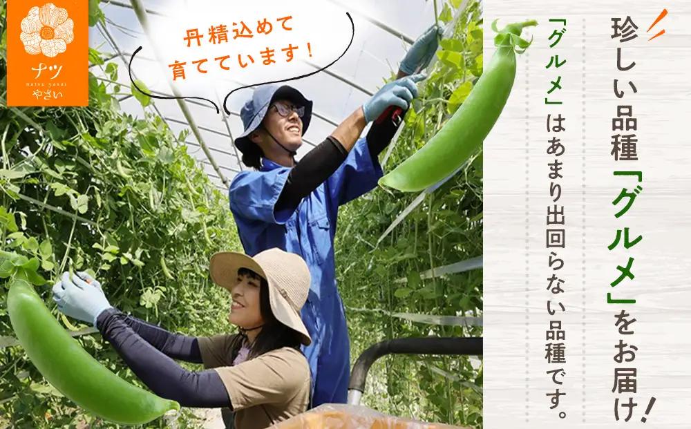 R8年産 スナップえんどう（品種：グルメ） 500g ピンクの八百屋〜ナツやさい〜 | 北海道津別町