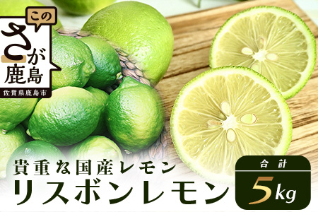 B-367【貴重な国産レモン】佐賀県鹿島産 リスボンレモン ５ｋｇ