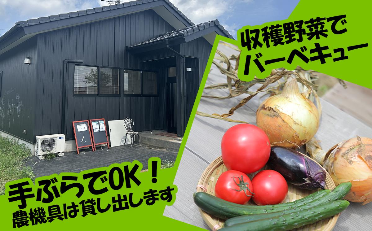 【専用スマホアプリがサポート！】ハルファームの市民農園利用券　(5㎡ 3ヵ月分) 【 茨城県 つくば市 農園 貸農園 貸し農園 農業体験 農業 野菜収穫 体験 野菜体験 チケット 旬野菜 採れたて野菜