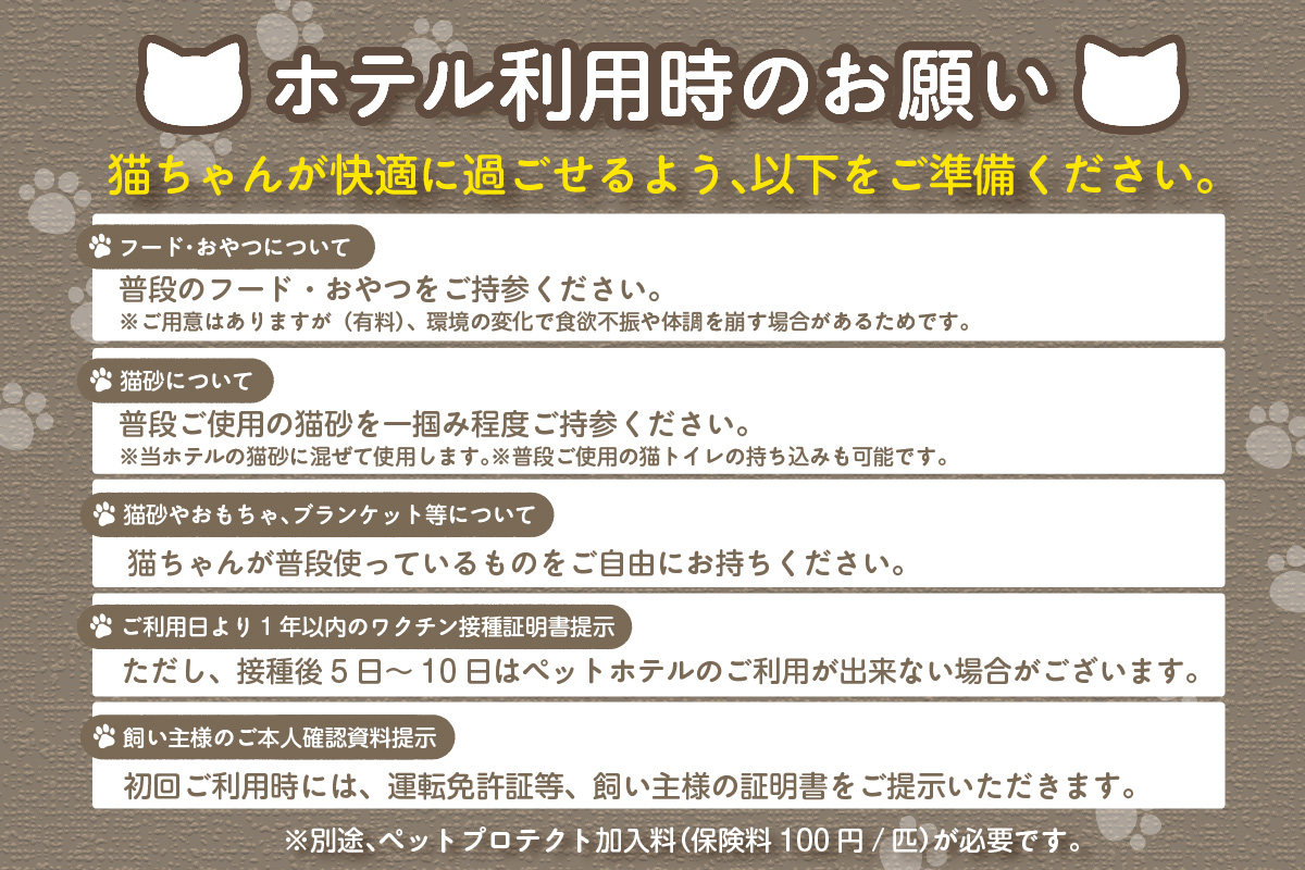 CAT HOTEL & TRIMMING　うぃんべる　宿泊利用券　1匹専用プラン│ペットホテル ペットと泊まれる 宿泊券 猫 キャット 猫ホテル 見守りサービス 猫専用ルーム 窓付き個室 見守りカメラ