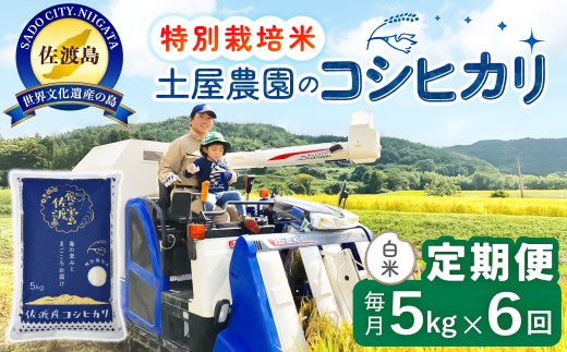 【6か月定期便 コシヒカリ】佐渡島産コシヒカリ 白米 合計30kg（5kg×毎月お届け全6回）令和8年産 新米 特別栽培米 | 新潟県産コシヒカリ 新潟産コシヒカリ 新潟コシヒカリ 佐渡産コシヒカリ 新潟県産こしひかり 佐渡産こしひかり お米 米 こしひかり 白米 精米 ブランド米 おこめ コメ 5キロ 世界農業遺産 にいがた さど 新潟県 佐渡市