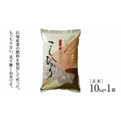 【ふるさと納税】かすみがうら市産コシヒカリ 玄米 10kg【1630961】