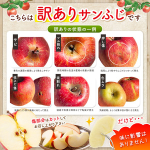 【先行受付】松本市産  訳ありサンふじ 約３kg( 8～12玉) 