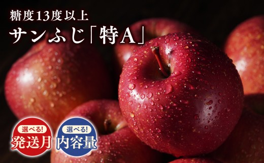 
                  ≪発送月と内容量が選べる≫ 青森県産 サンふじりんご 「 特A 」規格 【 青森県 平川市 森山商店 】 糖度 13度以上 青森県産 青森りんご 林檎 リンゴ りんご サンふじ ふじ 特A規格 光センサー 選果 レビューキャンペーン
                