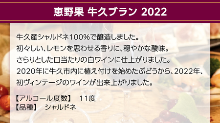 恵野果 牛久ブラン 2022 750ml×1本 茨城県産 茨城県産 牛久醸造場 日本ワイン ワイン 白ワイン 750ml ミディアムボディ お酒 贈り物 葡萄 ぶどう