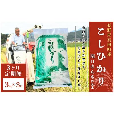 ふるさと納税 上田市 【毎月定期便】コシヒカリ 関口さんちのお米 3kg[54040932]全3回