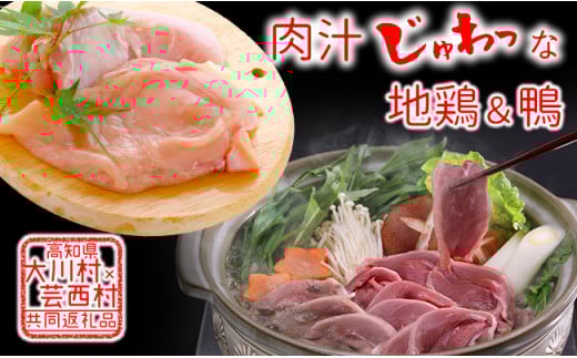 【大川村と芸西村の共通返礼品】はちきん地鶏 むね肉 1kg＆土佐鴨 鴨鍋肉（2〜3人前）セット 地鶏 ムネ肉 胸肉 鶏肉 鴨 鴨肉 かも肉 とり肉 とりにく 肉 高知県 大川村 F6R-125