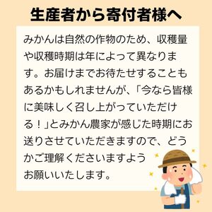 【みかん】 訳あり 温州みかん 約5kg