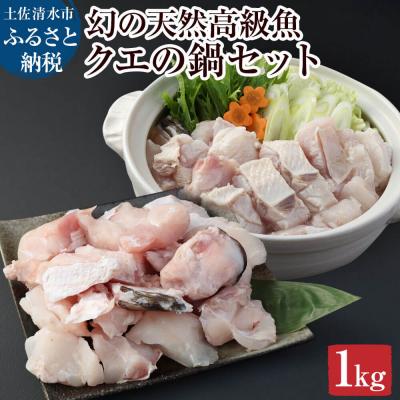 ふるさと納税 土佐清水市 鍋用天然クエ切り身(冷凍1kg1パック)海鮮鍋 冷凍 寄せ鍋 煮付け クエしゃぶ 【R00639】