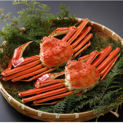 ふるさと納税 智頭町 【先行予約】鳥取県産 タグ付き 茹 松葉がに 700g×2杯(中村商店)2026年1月末より順次発送