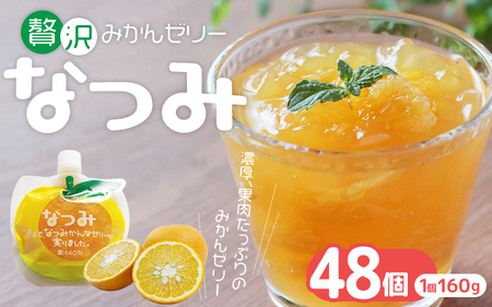 贅沢みかんゼリー なつみ 48個 ゼリー【kmkn0071】