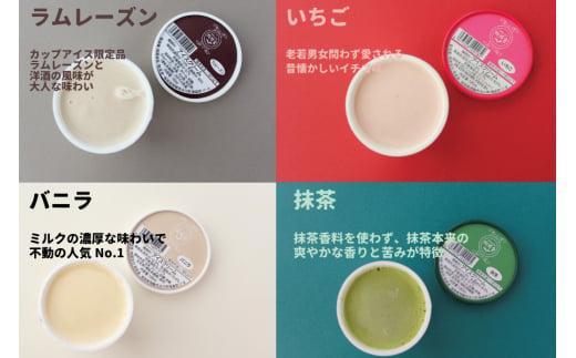 【12月配送】＜牧成舎＞ 飛騨の牛乳屋が作る ミルクの旨味たっぷり カップアイスクリーム  12個入り（バニラ/抹茶/いちご/ラムレーズン 各3個）| 年内発送 デザート 牧場 アイス 人気 おいしい