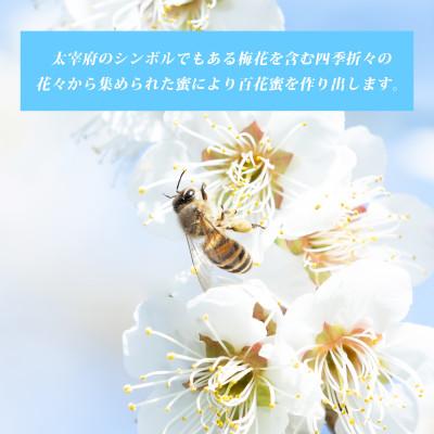 ふるさと納税 太宰府市 太宰府百花蜜 日本ミツバチ 国産蜂蜜100% 140g×2個 |  | 02