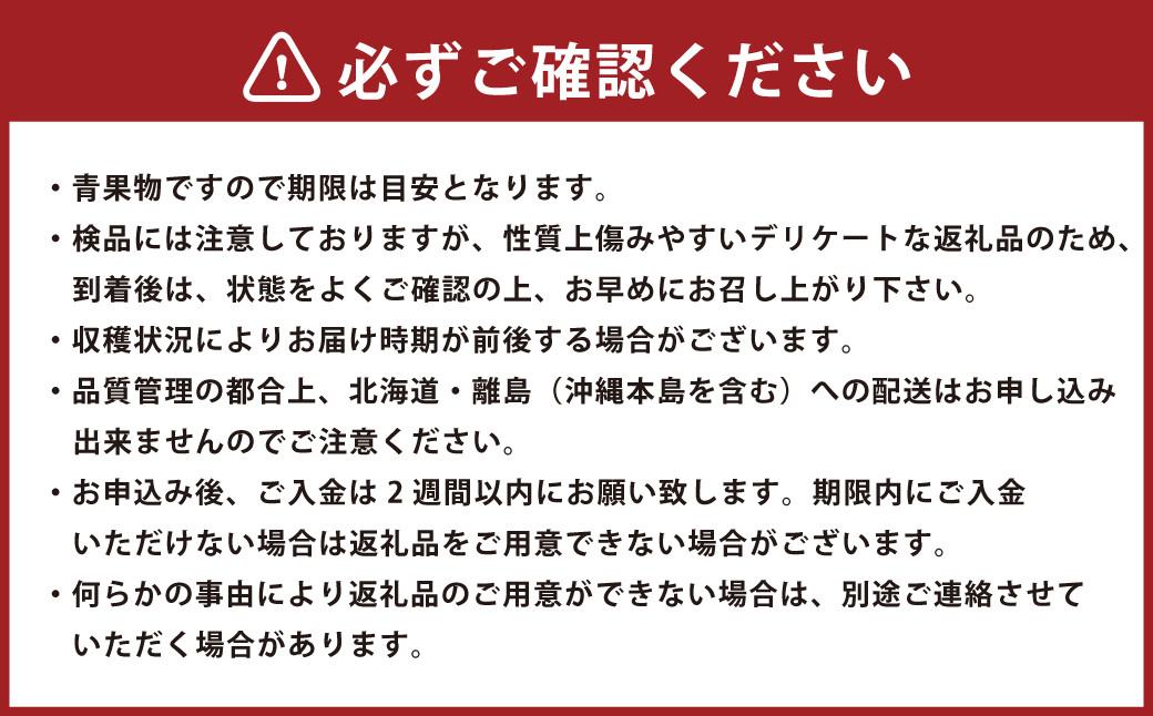 博多あまおう（冬）6パック