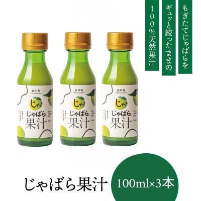 ふるさと納税 北山村 じゃばら果汁100ml×3本【njb212】