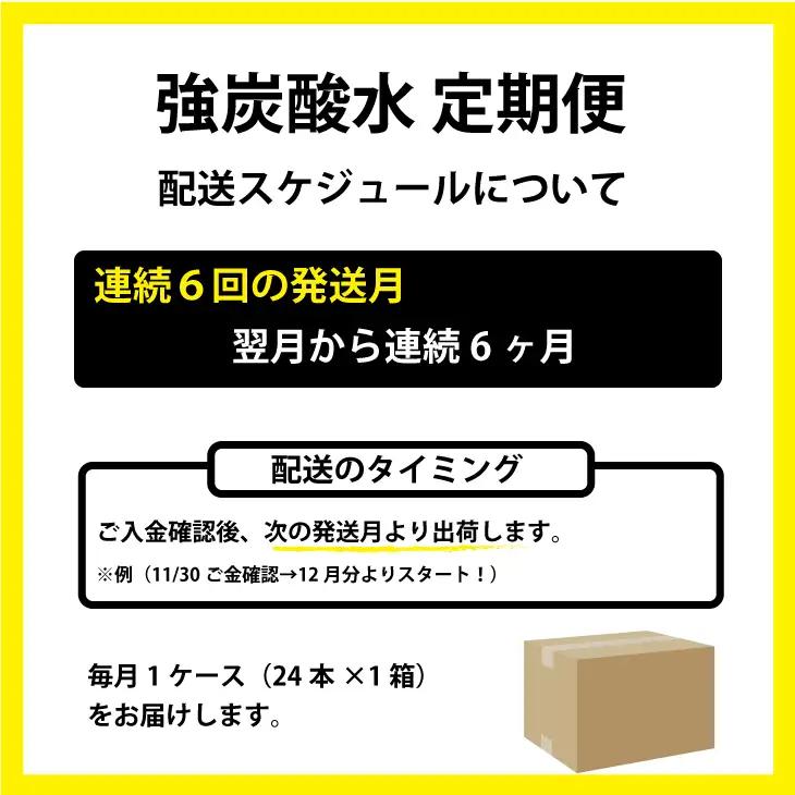 【定期便】連続6回 強炭酸水（500ml）1ケース（計24本）  Q036-003 炭酸 飲料
