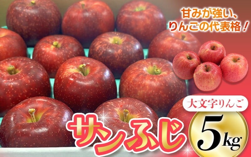 
            人気no.1！【1月上旬～順次発送】大文字りんご園 サンふじ 小玉サイズ 約5kg (約18~20玉)  樹上完熟 りんご リンゴ 林檎 果物 くだもの フルーツ 甘い 旬 産地直送  【dma513-sf-5E】
          