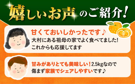 〈先行予約〉【11月中旬頃～1月中旬配送】長崎県産 温州みかん 約2.5kg / みかん 柑橘 2.5kg フルーツ 果物 / 大村市 / 山光農園[ACAI001]