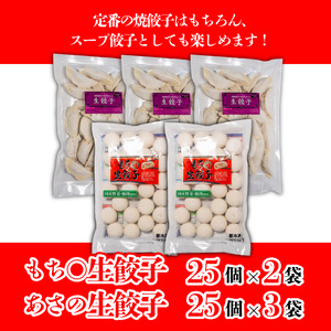 えひめの美味しい厳選餃子 あさの生餃子 もち〇生餃子 セット【5パック 計125個】【ASN003】