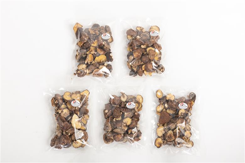 【訳あり】 津久見産不揃いしいたけ 100g×5袋 | 乾燥椎茸 きのこ 茸　家庭用 しいたけ 乾燥シイタケ 国産 九州 大分県 小分け 送料無料