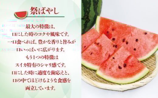 えひめ 山すいか 7kg ～ 8kg 一玉 Lサイズ フレッシュつちやま 西瓜 すいか 大玉 大玉西瓜 大玉スイカ 祭ばやし 甘泉 品種 おまかせ 果物 フルーツ 期間限定 旬 産地直送 数量限定 国