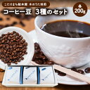 【ふるさと納税】コーヒー豆3種のセット(豆) 送料無料 こたけまち絵本館木のうた焙煎《30日以内に出荷予定(土日祝除く)》