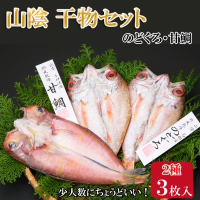 ふるさと納税 出雲市 海の幸干物セットC