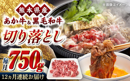 【全12回定期便】熊本県産 くまもと黒毛和牛 あか牛 ミックス 切り落とし 750g 牛肉【熊本県畜産農業協同組合】[YAD038]