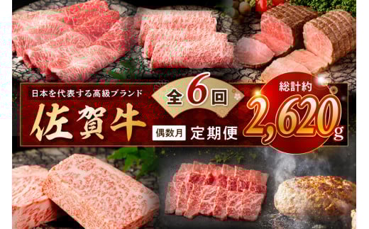 【発送月固定 定期便】肉の定期便！ 厳選 佐賀牛 隔月お届け（偶数月）全6回 999-J1170