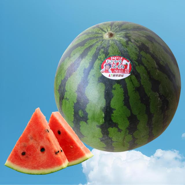 【予約商品】スイカ１玉7～9kg(2Lサイズ以上)