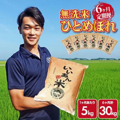 ふるさと納税 酒田市 【毎月定期便】「いいあん米」ひとめぼれ無洗米5kg全6回