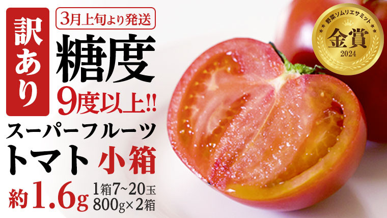 
            糖度9度以上 訳あり トマト 【 受付終了間近！】《訳あり》 スーパーフルーツトマト 小箱 約800g（7～20玉）× 2箱 糖度9度以上 フルーツトマト トマト 2025年3月上旬発送開始 とまと 野菜 [BC043sa]
          