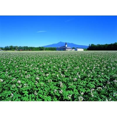 ふるさと納税 清里町 じゃがいも焼酎 「北海道清里」斜里岳セット(3本入り) |  | 02