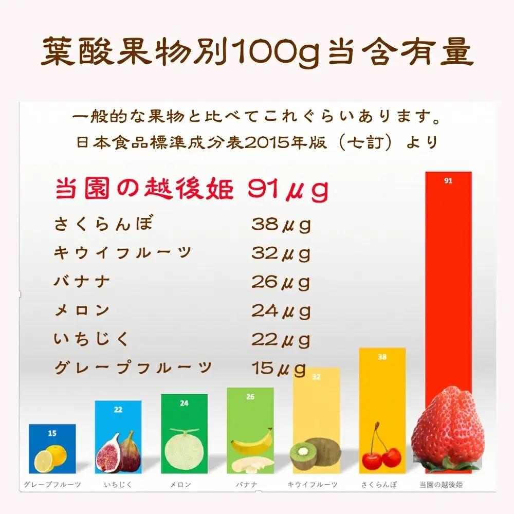 【先行予約】越後姫桃薫 いちご 越後姫 約200g×2P食べ比べ
