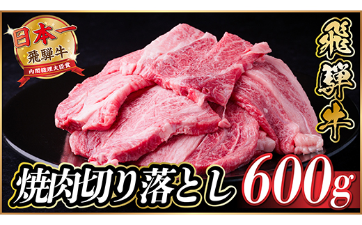 飛騨牛 焼肉切り落とし 約600g(約300g×2)タレ付き 訳あり【冷蔵便】カルビ・ロースなど【配送不可地域：離島】