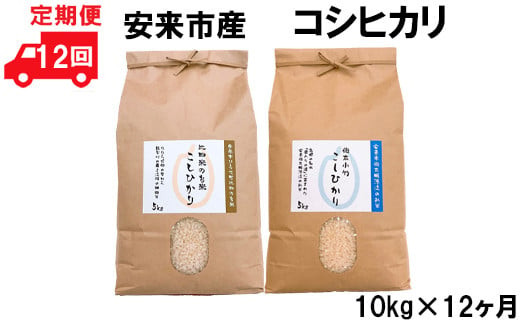 
安来市産コシヒカリ10kg×12ヵ月 令和6年産 【新米 5kg 2袋　120kg お米 島根 おいしい 食べ比べ】
